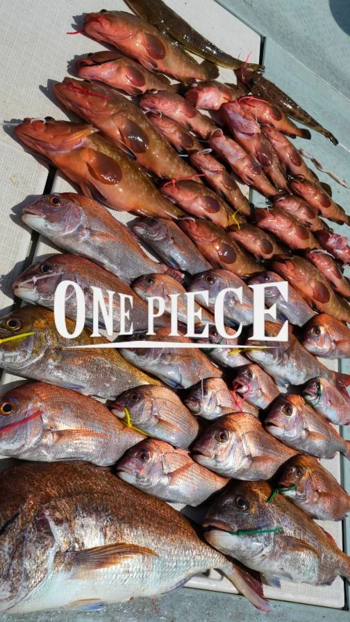 HOME - 香川県高松市の鯛ラバ（タイラバ）遊漁船 ONE PIECE（ワンピース）
